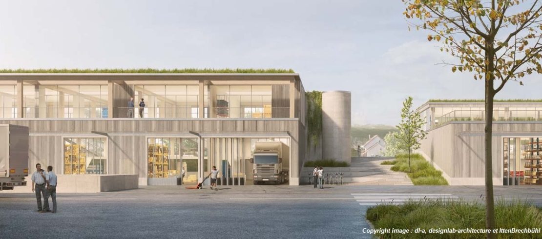 6127-Le Plantin-synthèse