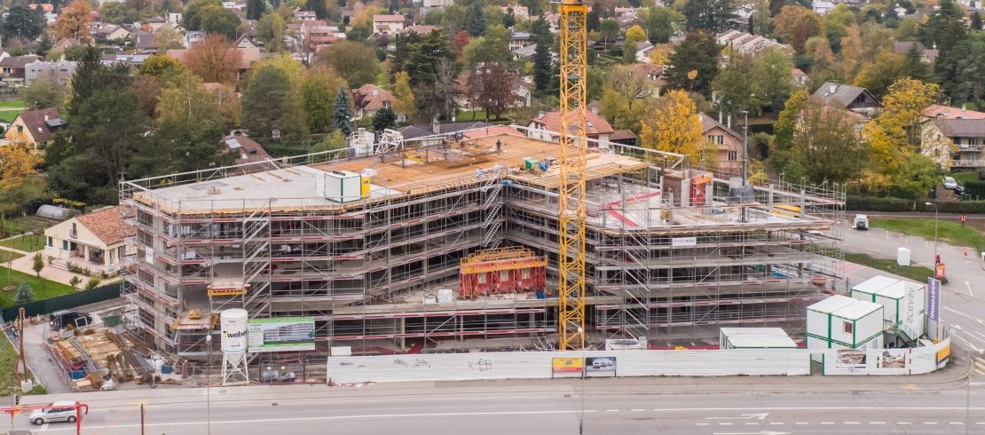 4806-mousse-2019.11.26