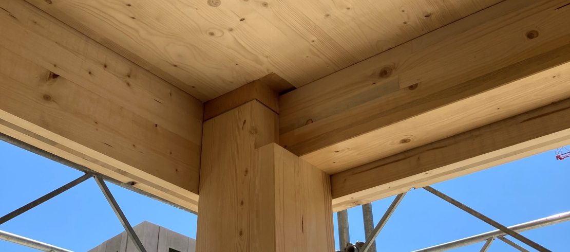 6738-assemblage_redimensionné